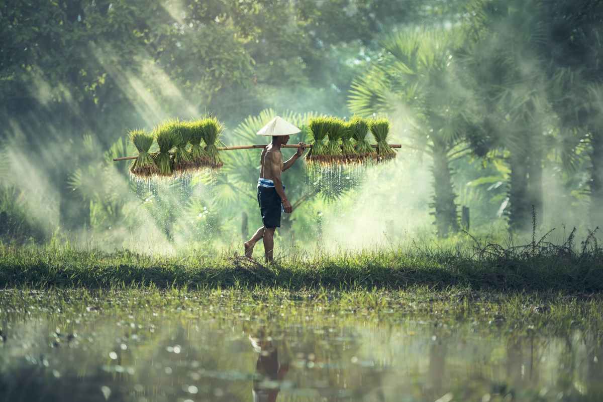 Agroecología en Asia y el Pacífico